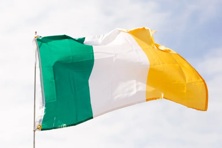 Vorschaubild: Irland: Protest gegen Nutzung des einzig verbliebenen Hotels als Asylunterkunft