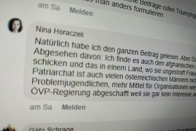 Vorschaubild: Falter-Chefreporterin sorgt mit Kommentar nach Frauenmorden in Wien für Aufregung