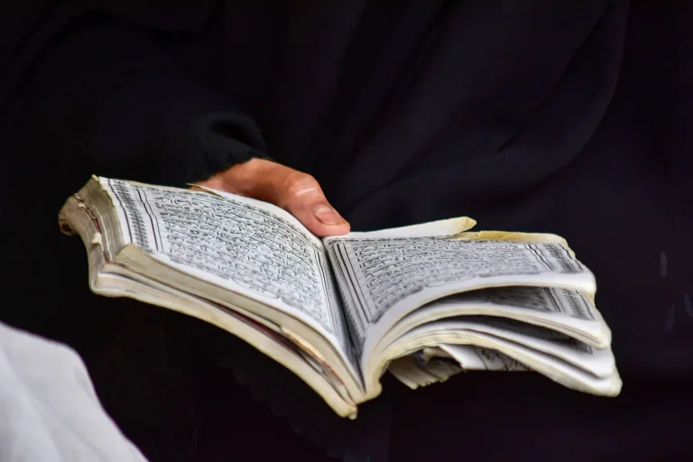 Vorschaubild: Steiermark: FPÖ fordert Verbotsgesetz gegen Islamismus