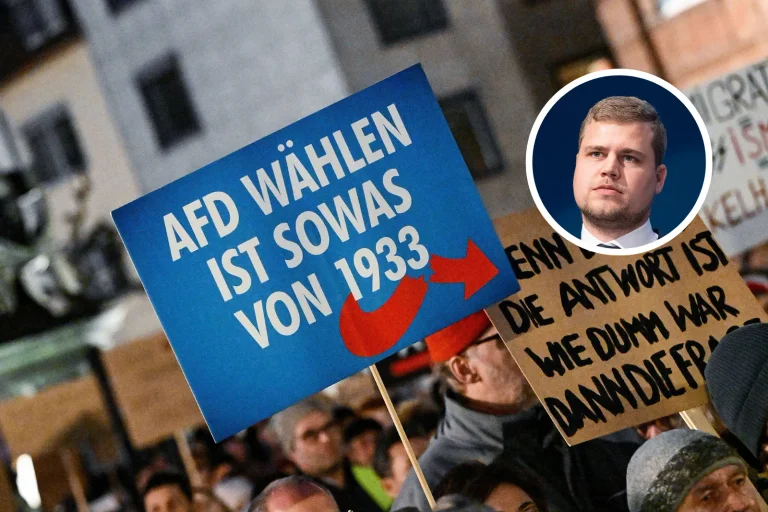 Vorschaubild: Geheimtreffen und Remigration: Warum die aktuellen Ereignisse der AfD nützen