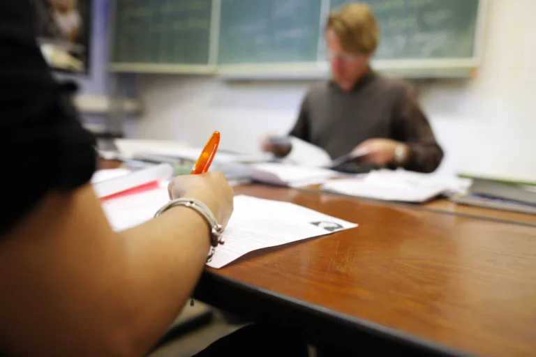 Vorschaubild: AfD-Hauptstadtfraktion legt Beschwerdeportal „Neutrale Schule“ neu auf