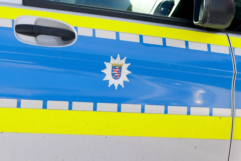 Vorschaubild: Hessen: Jede vierte Abschiebung scheitert