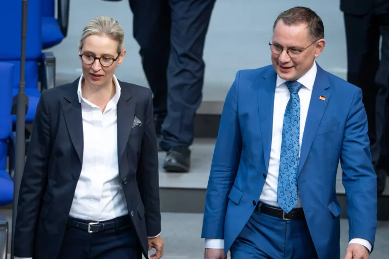 Vorschaubild: Neue Umfrage: AfD verliert leicht, kann aber Wahlkreise von CDU zurückerobern