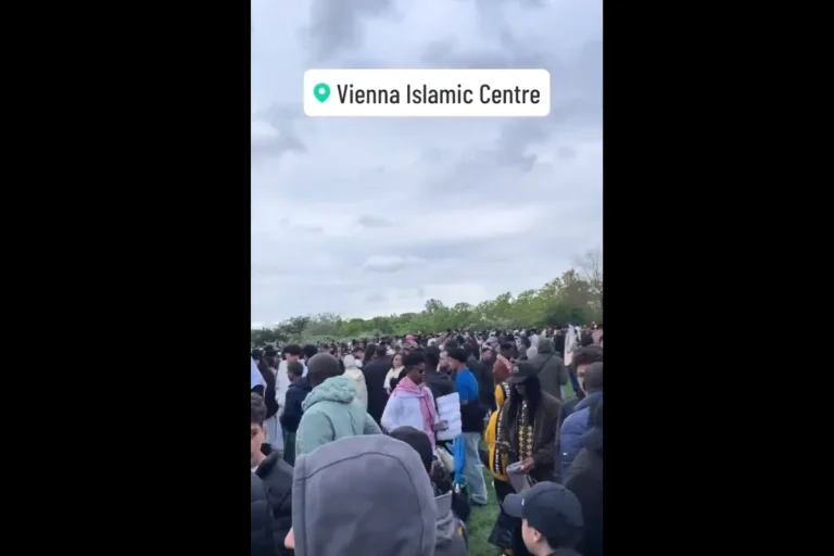 Vorschaubild: Video aus Wien sorgt für Aufregung: „Sissi würde sich im Grabe umdrehen“