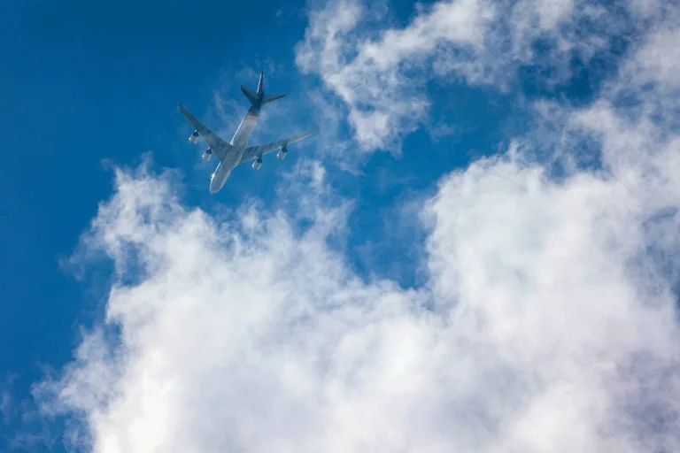 Vorschaubild: Studie zeigt: Mehrheit will Remigration, Klimawandel beunruhigt immer weniger