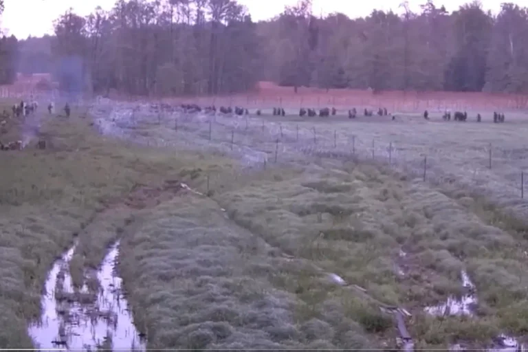 Vorschaubild: Video zeigt aggressiven Grenzübertrittsversuch an der polnischen Grenze