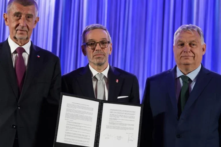 Vorschaubild: Das „Patriotische Manifest für eine europäische Zukunft“ im Wortlaut