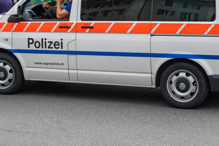 Vorschaubild: Schweiz: Betrunkene Asylbewerber sollen randaliert und zwei Ziegen getötet haben