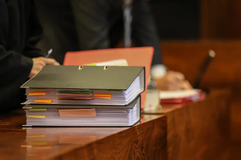 Vorschaubild: Klage der AfD: Brandenburgs Milliarden-Hilfspaket teilweise verfassungswidrig