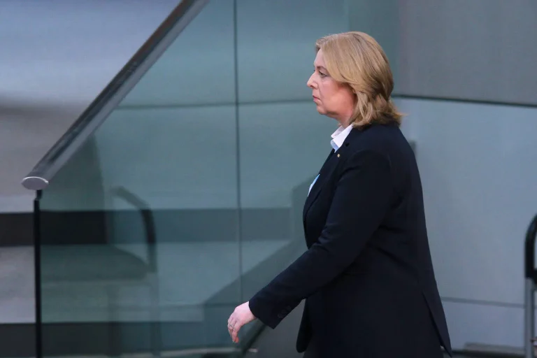 Vorschaubild: Schärfere Sicherheitskontrollen im Bundestag: Kommt das Berufsverbot für AfD-Mitarbeiter?