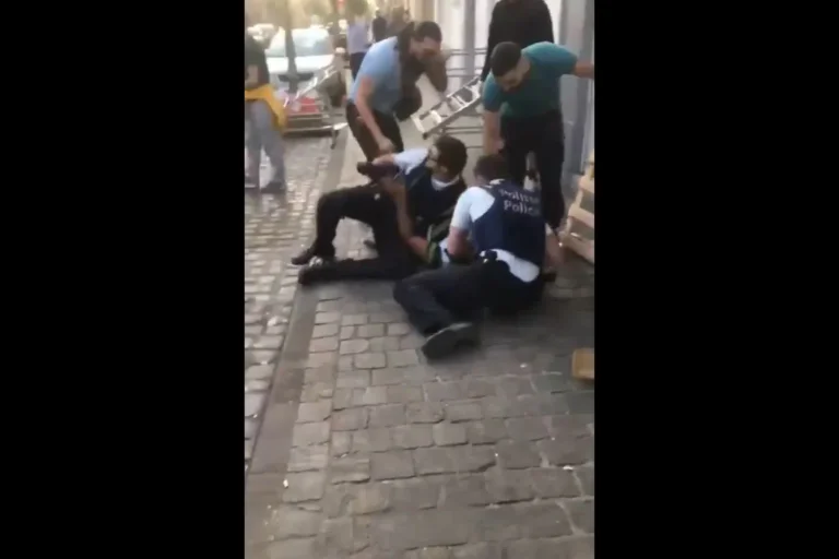 Vorschaubild: Migranten schlagen und treten belgische Polizisten bei versuchter Festnahme