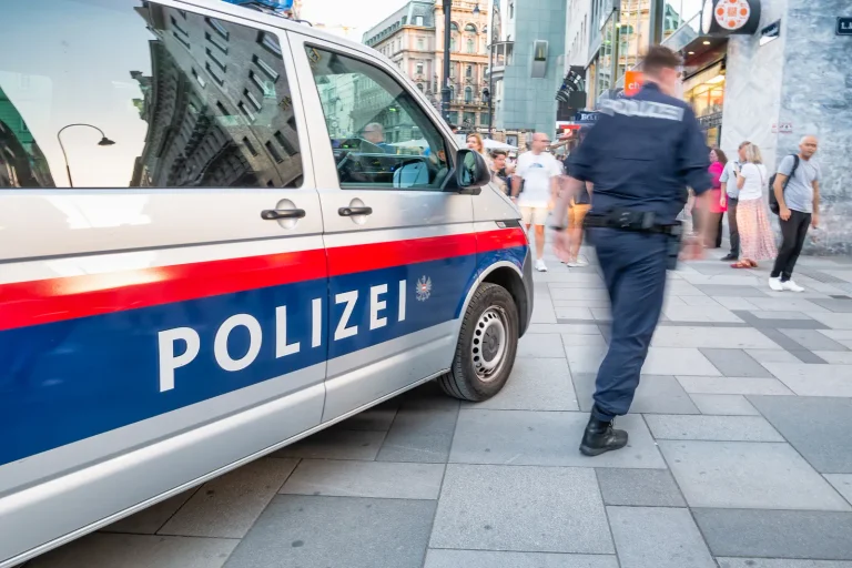 Vorschaubild: FPÖ zielt auf Grüne und SPÖ: „Kriminelle Asylwerber gefährden unsere Sicherheit“