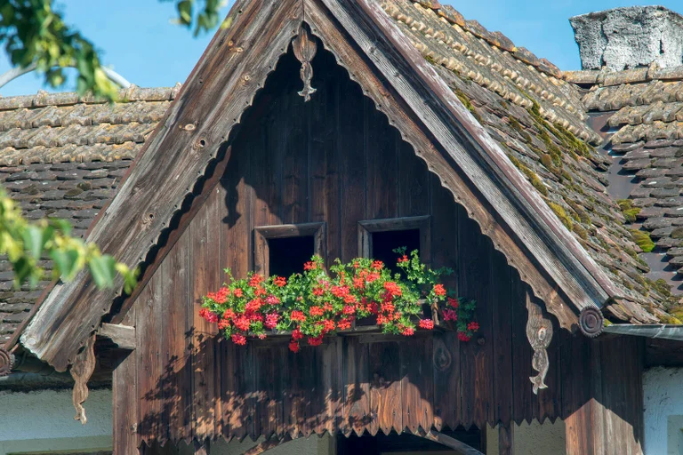 Vorschaubild: „Inklusionshof“ für Migranten: Landrat zieht Schlussstrich bei 70.000 Euro Monatsmiete