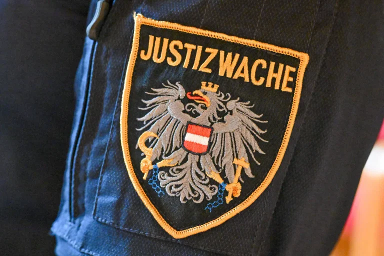 Vorschaubild: Asylbewerber schlägt Polizisten und beschädigt Auto – Gericht schickt ihn in Therapie