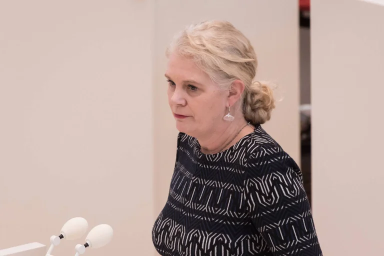 Vorschaubild: CDU-Politikerin Ludwig: „Brandmauer“ zur AfD ist undemokratisch