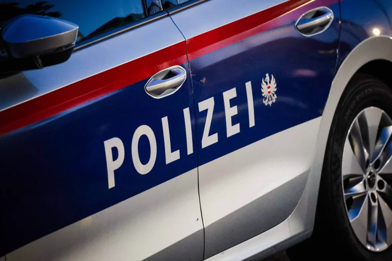 Vorschaubild: Schockierende Zahlen: Jährlich rund 300 Vergewaltigungen durch Ausländer in Österreich