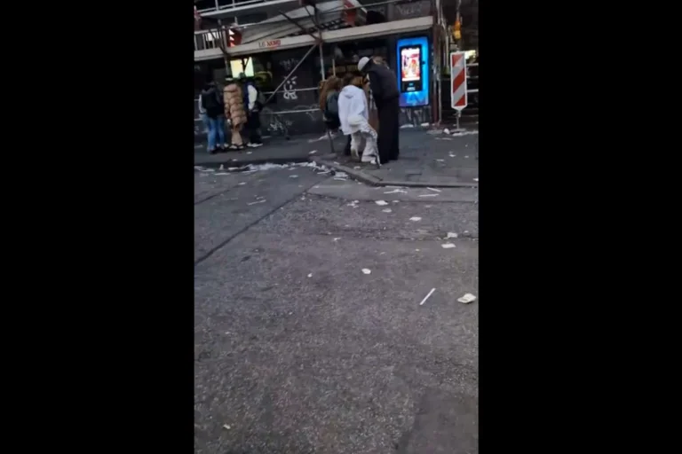 Vorschaubild: Video zeigt Vermüllung und Verwahrlosung auf belebter Straße in Hamburg
