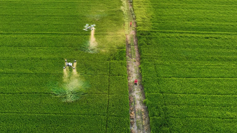 Technik: Algorithmus statt Bauernregel