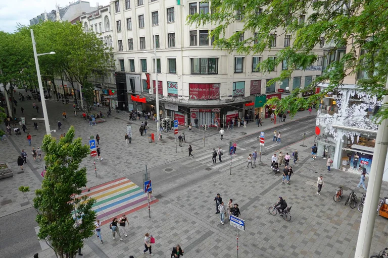 Vorschaubild: Bericht zeigt: Mehr als jeder Fünfte in Österreich im Ausland geboren