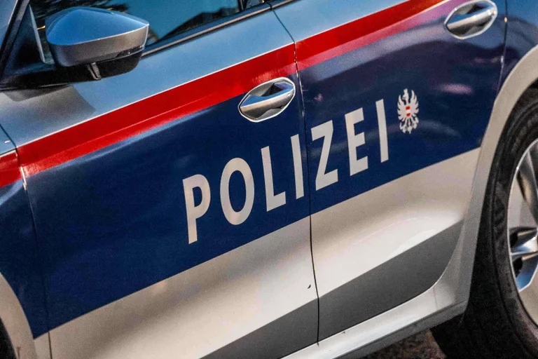 Vorschaubild: Nach FPÖ-Wahlerfolg: Mehrere Übergriffe auf Politiker und Mitarbeiter der Partei