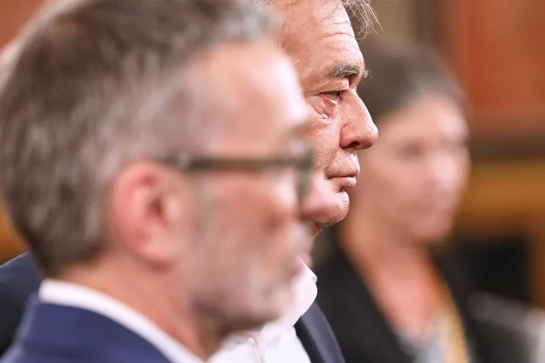 Vorschaubild: Nationalratswahl: Grüne starten Petition gegen möglichen FPÖ-Nationalratspräsidenten