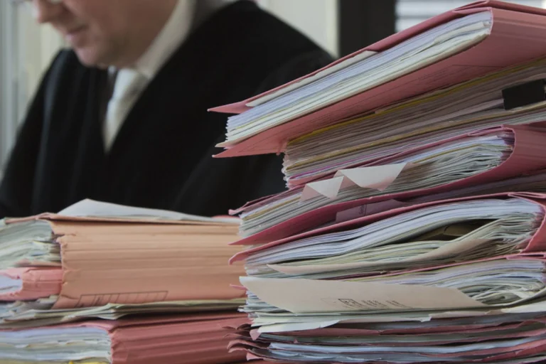 Vorschaubild: Anti-AfD-Gutachten unter der Lupe: Wie neutral sind die Verfassungsrechtler?