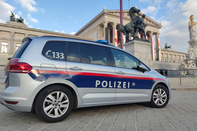 Vorschaubild: „Juristisch fragwürdig“: Kritik am Verbot FPÖ-naher Kundgebungen wächst