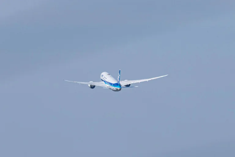 Vorschaubild: Exklusiv: Gutachten sieht verfassungsrechtliche Grundlage für AfD-Forderung nach privater Abschiebeindustrie