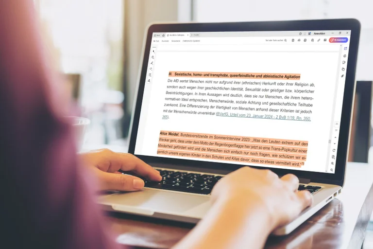 Vorschaubild: Gutachten: Nach diesen bizarren „Beweisen“ halten Juristen die AfD für verfassungswidrig