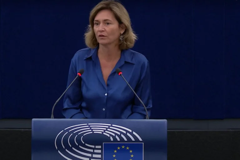 Vorschaubild: FPÖ-EU-Abgeordnete Dieringer-Granza fordert Ende der chaotischen EU-Migrationspolitik