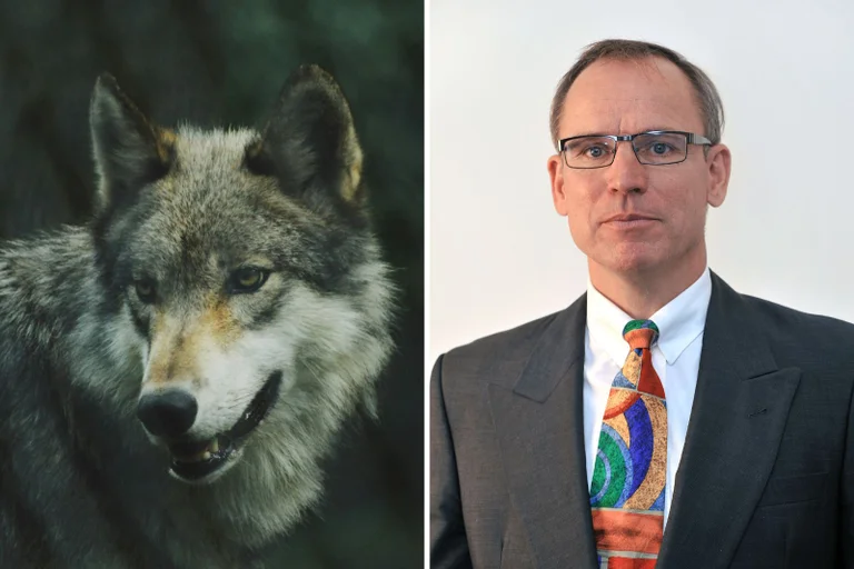 Vorschaubild: AfD-Politiker und Jäger Arnulf Fröhlich: „Der Wolf hat uns nicht gefehlt“
