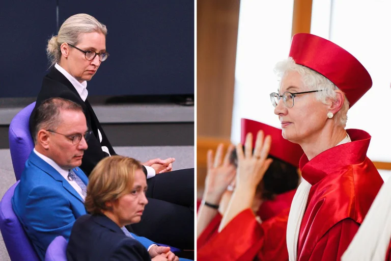 Vorschaubild: Exklusiv: Bundestagsgutachten hält AfD-Verbot für möglich – und argumentiert besonders absurd