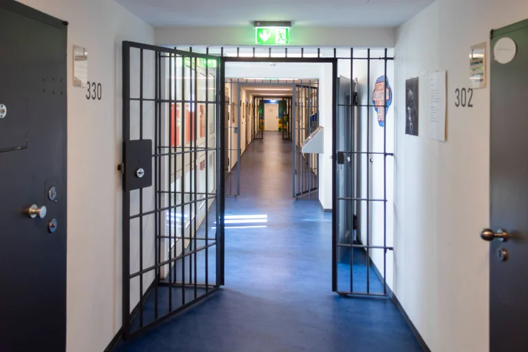 Vorschaubild: Sachsen: Nur jeder fünfte Intensivtäter in Haft, noch weniger abgeschoben