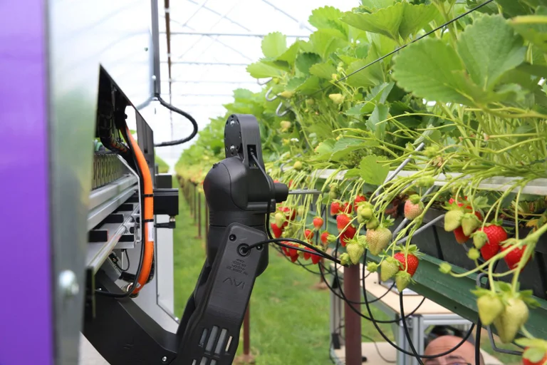 Vorschaubild: Niederösterreich: AK fordert Steuer auf KI, Robotik und Automatisierung