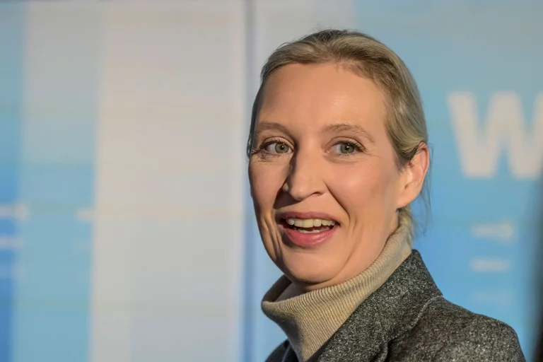 Vorschaubild: Erste Prognose: Union siegt, AfD klar auf Platz zwei