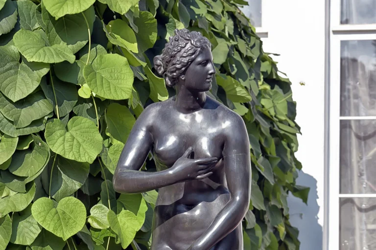 Vorschaubild: Zu „sexistisch“: Venus-Statue aus Berliner Behörde verbannt
