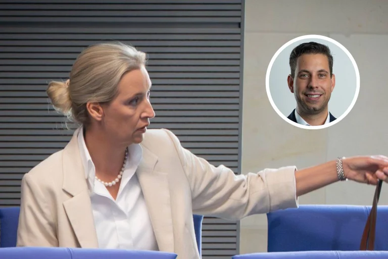 Vorschaubild: Wahlerfolge und Rekordwerte: Wer ist schuld am Erstarken der AfD?