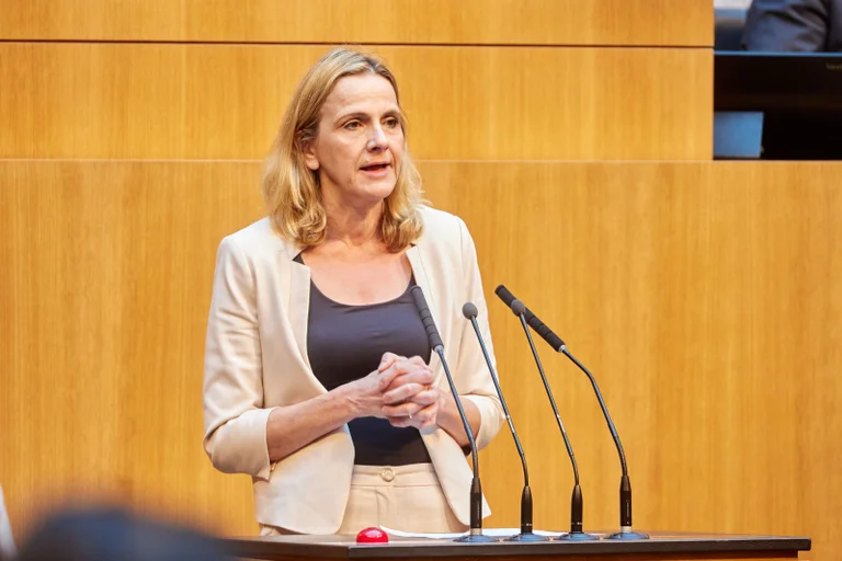 Vorschaubild: FPÖ wollte mehr Transparenz bei NGOs: Antrag erhielt keine Mehrheit