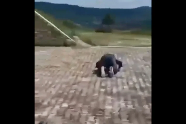 Vorschaubild: Bosnien-Herzegowina: Muslime provozierten am Denkmal gefallener kroatischer Soldaten