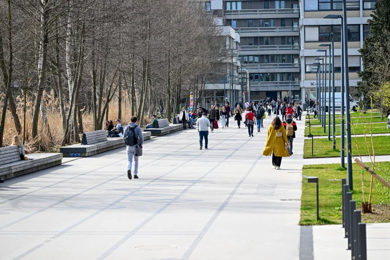 Vorschaubild: Männer ausgeschlossen: Uni Linz schreibt KI-Professuren nur für Frauen aus