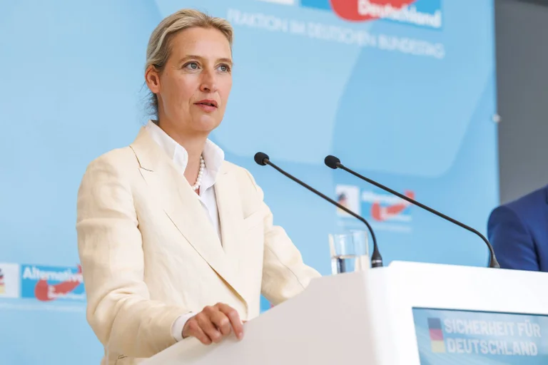 Vorschaubild: AfD bundesweit als einzige Partei bei über 20 Prozent