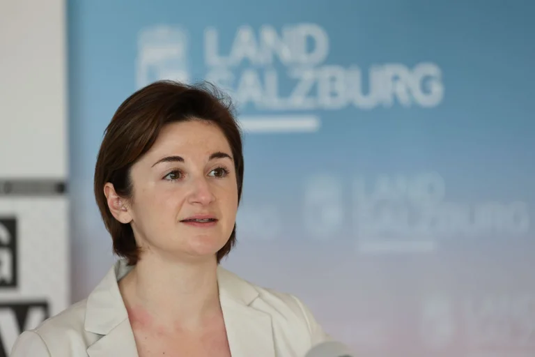 Vorschaubild: Salzburg: Schwarz-Blau streicht Asylwerbern Familienleistungen