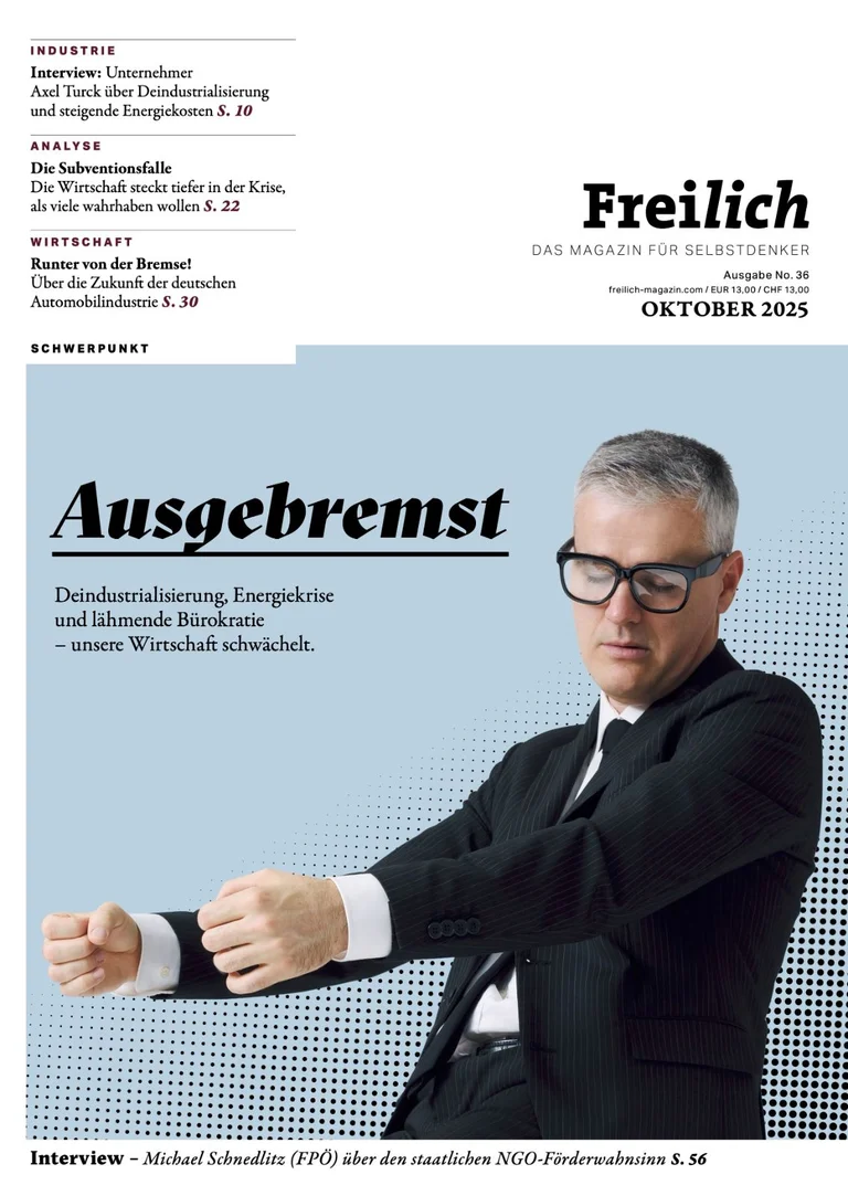 Cover: Ausgebremst