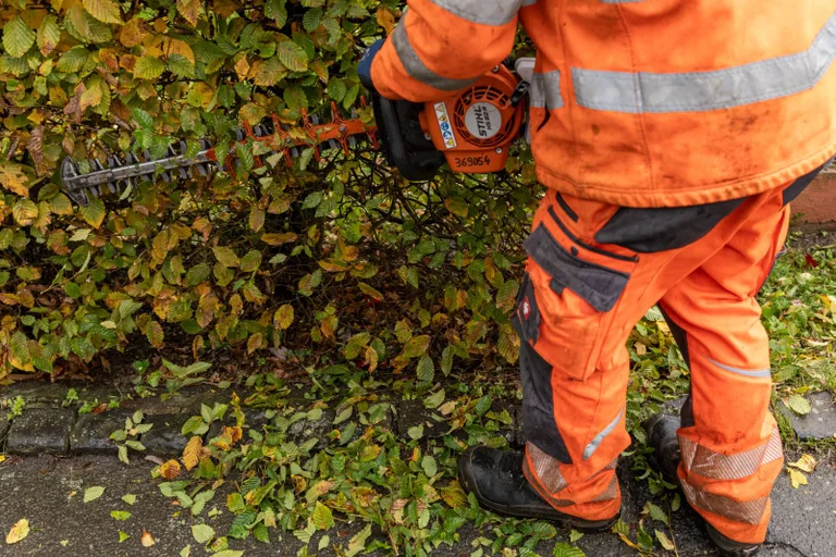 Vorschaubild: Kärnten will Pflicht zu gemeinnütziger Arbeit für Asylwerber