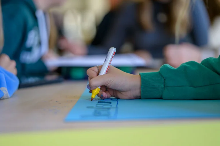 Vorschaubild: Anfrage legt offen: Linke NGOs dominieren Bildungsarbeit an sächsischen Schulen