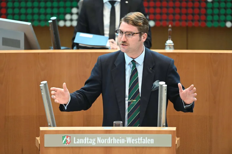 Vorschaubild: „Mehr Auenland wagen“: AfD stellt Tolkien gegen grüne Umweltdoktrin