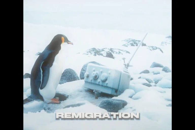 Vorschaubild: Pinguin, Gipfel, Abschiebeflieger: FPÖ setzt viralen Pinguin auf Remigration-Kurs