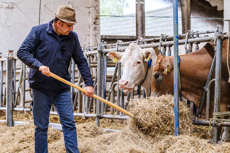 Vorschaubild: Warum das Mercosur-Abkommen mehr Chance als Katastrophe sein könnte