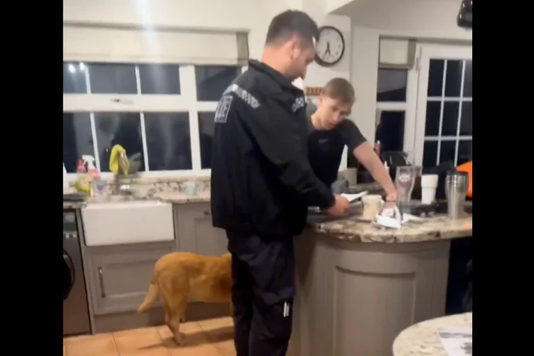 Vorschaubild: Kampf gegen illegale Migration wird kriminalisiert: 18-Jähriger Patriot darf nicht mehr nach Frankreich