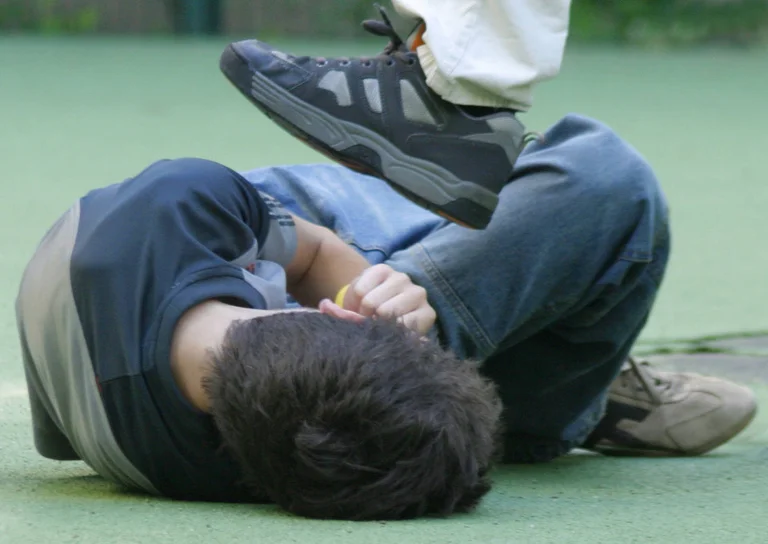 Vorschaubild: Zahlen aus Dresden: 63 Prozent der Tatverdächtigen bei Gewalt an Schulen sind Ausländer